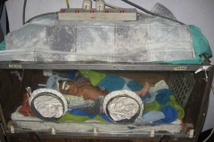 A new-born baby in an incubator in Okhaldhunga Community Hospital.