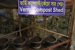 Vermi-Compost-Shed-at-Faridpur-Pouro-Biogas-and-Compost-Plant