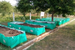 Visit-to-observe-beds-of-Vermi-Composting-units