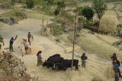 Life in Nepal