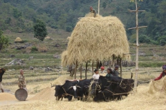 Life in Nepal