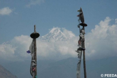 Prayer Flags in Gatlang village.
