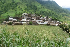 Naiche village is a Gurung village, 2 hours walk from Thulo Besi, and 1 hours from the intake site for the Mid-Nyadi Hydro Project.